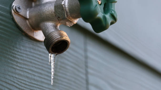 Best Local Plumber Services  in Crownpoint, NM